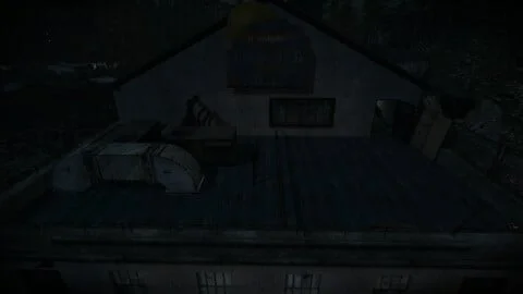 Alone in the Dark: Illumination™
