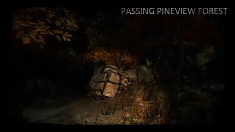 Passing Pineview Forest