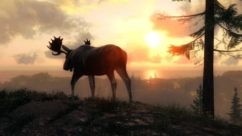 theHunter Classic
