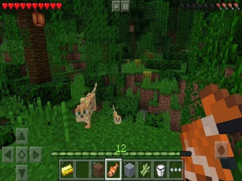 Minecraft: Pocket Edition