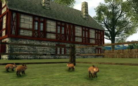 Agricultural Simulator 2011