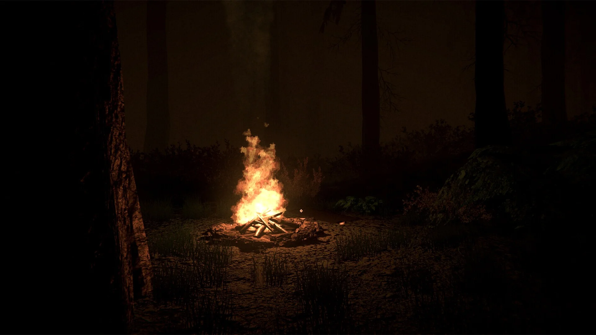 Shroud of the Woods