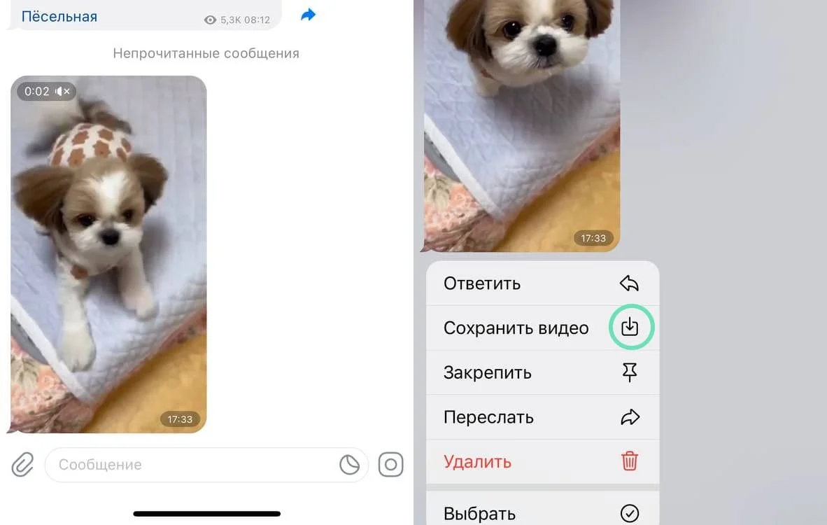 Изображение