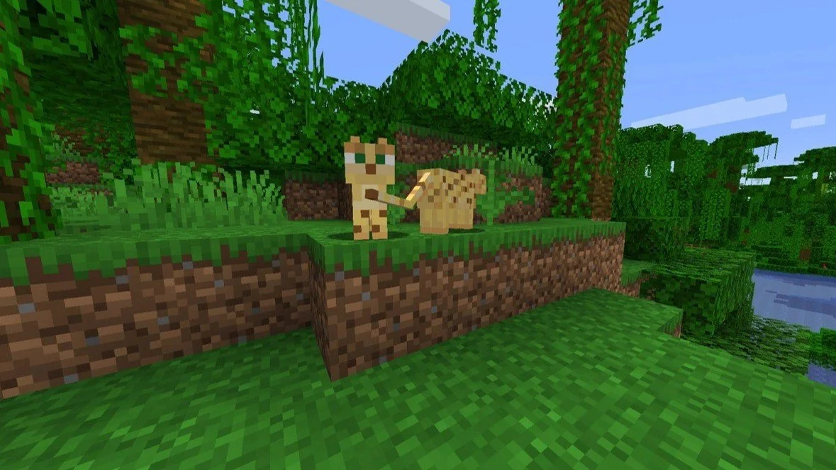 Оцелот в Minecraft: места обитания, как приручить