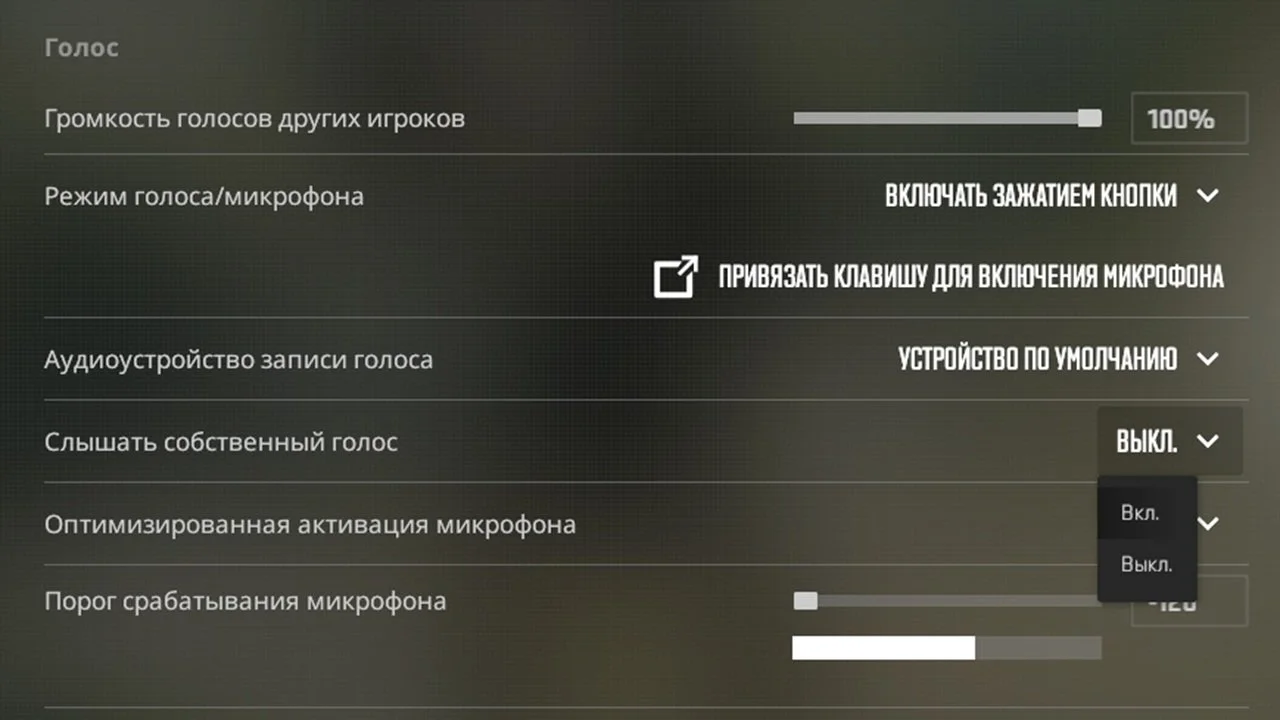Источник: скриншот respawn.media / Включение слышимости собственного голоса
