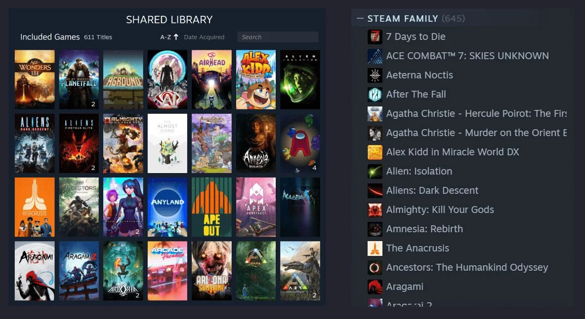 Источник: steamcommunity.com / Общая библиотека игр