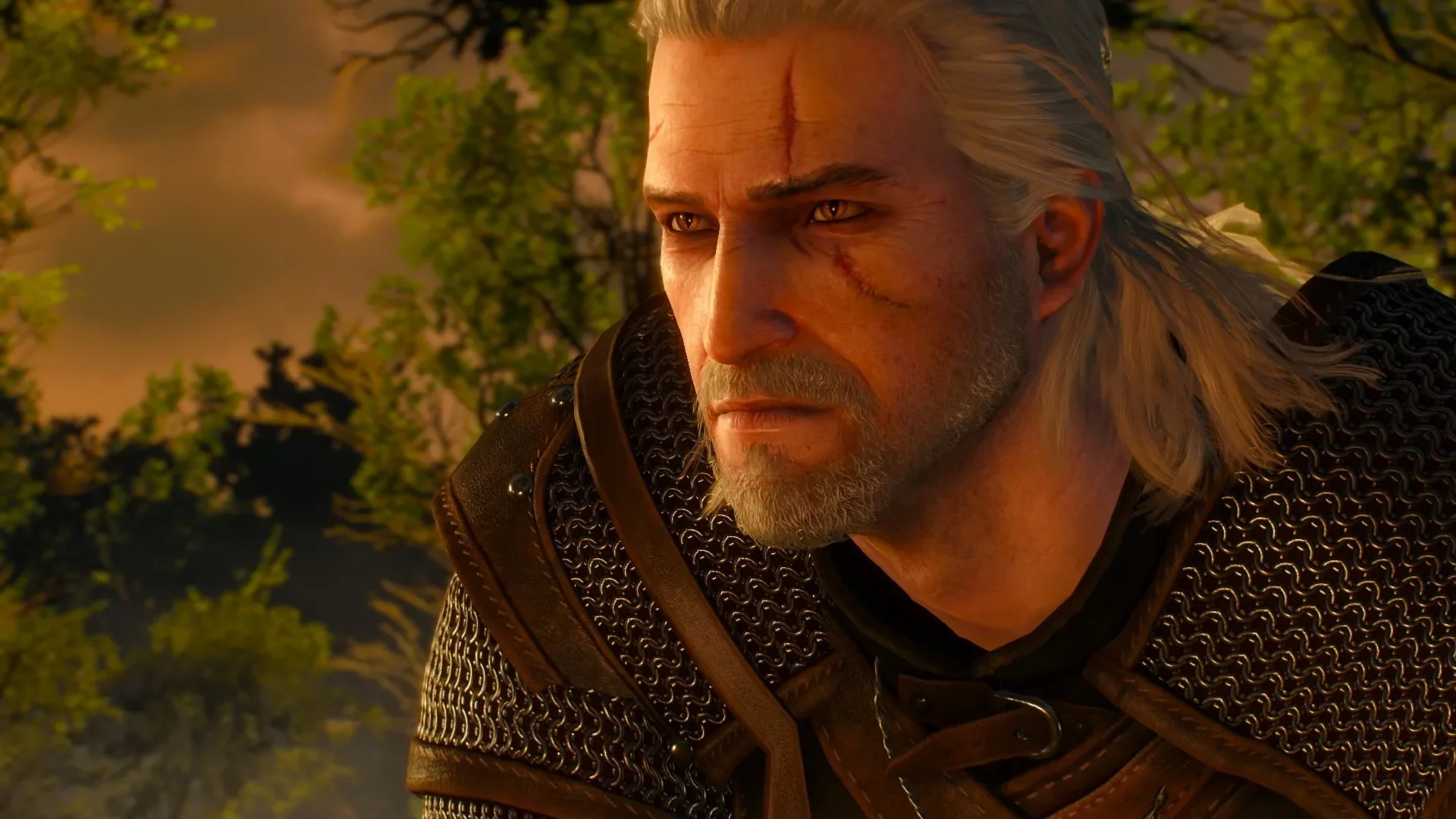 Серия игр The Witcher