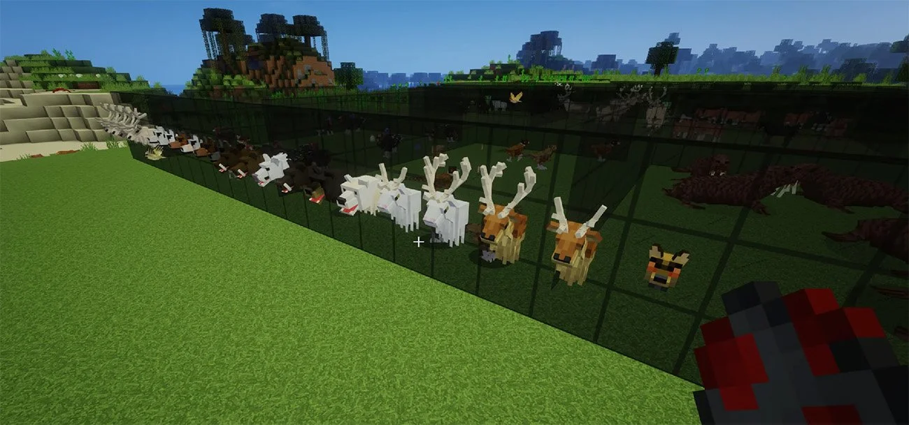 Источник: respawn.media / Better Animals Plus
