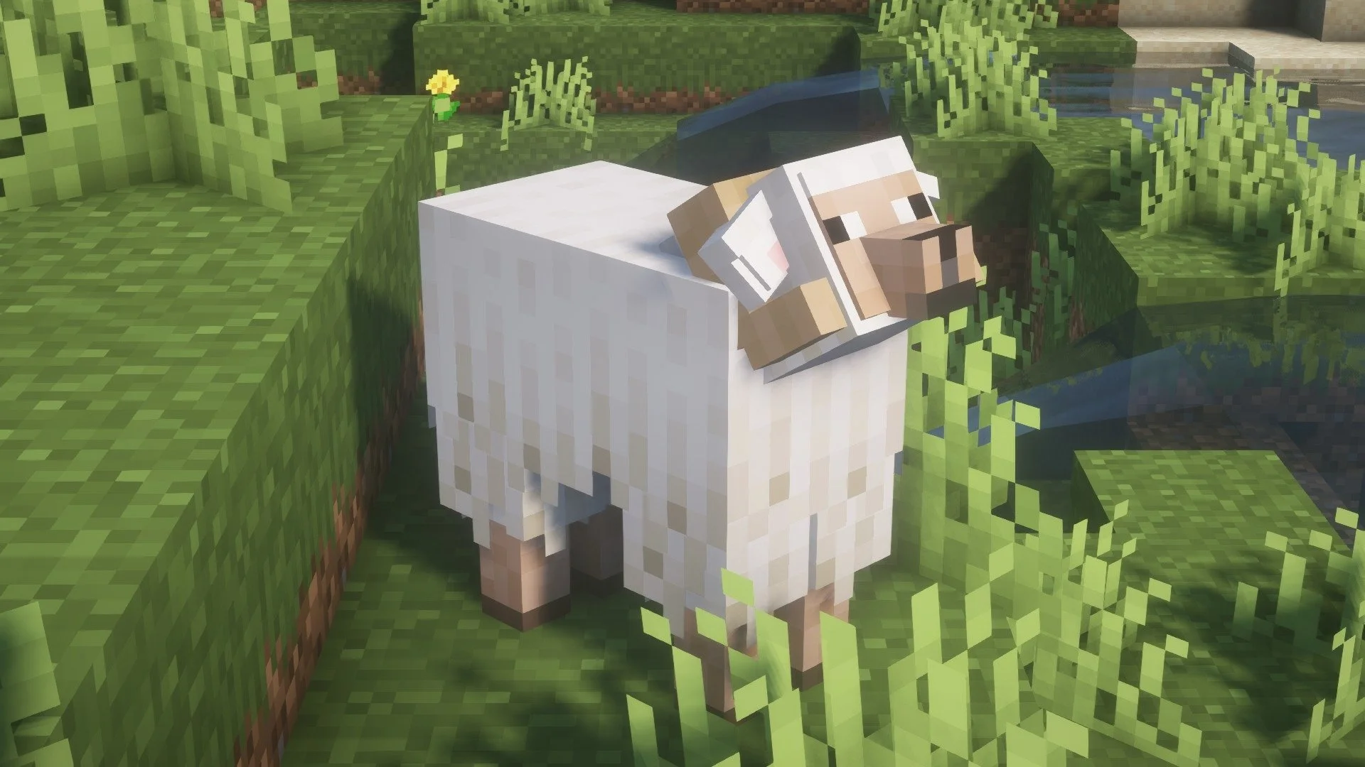 Minecraft Minecraft