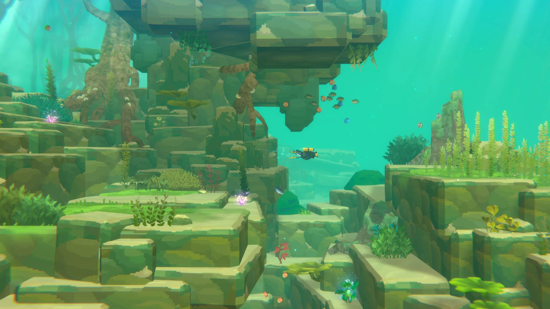 Dave the Diver: In the Jungle