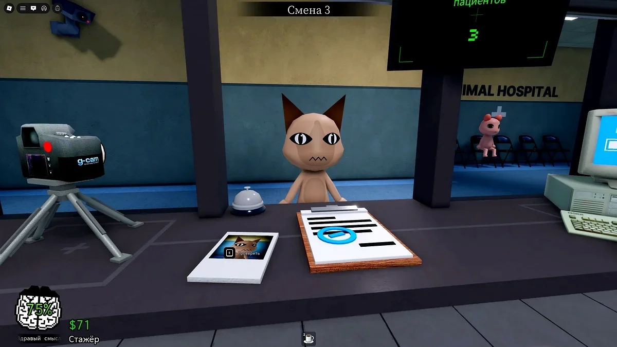 Animal Hospital Anomaly