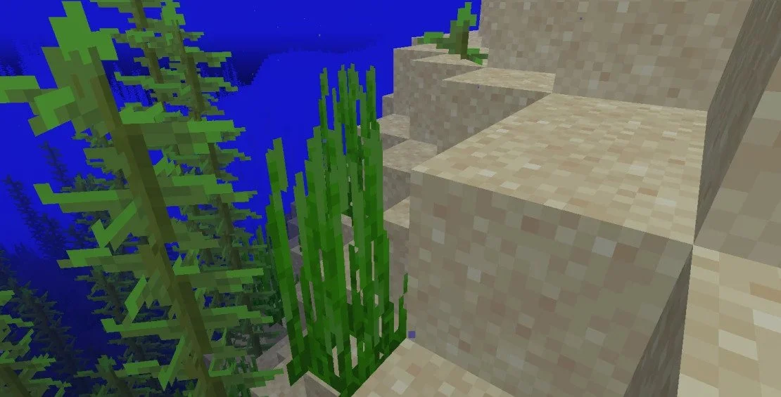 Источник: respawn.media / Водоросли в Minecraft&nbsp;
