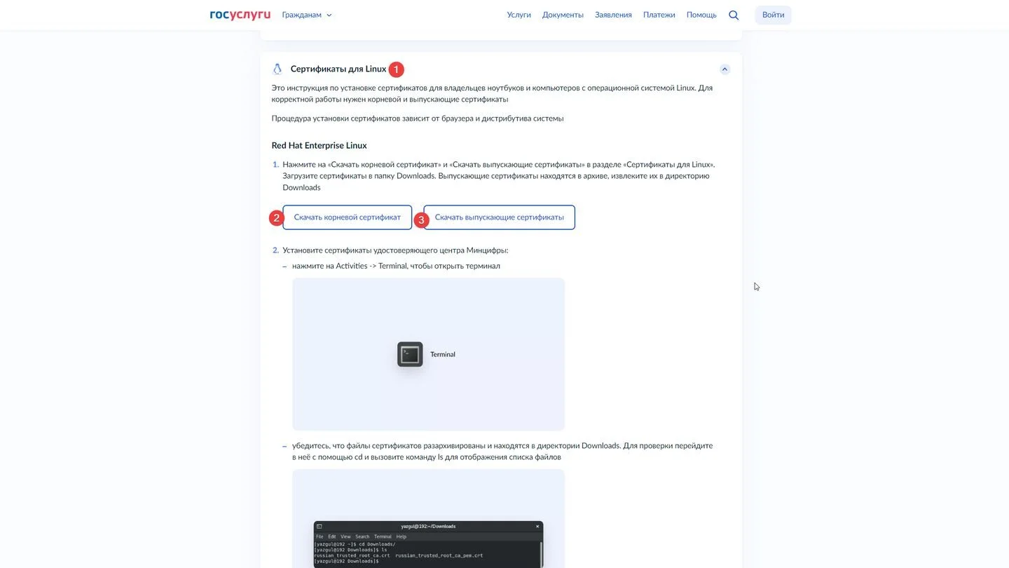 Источник: Respawn / Госуслуги
