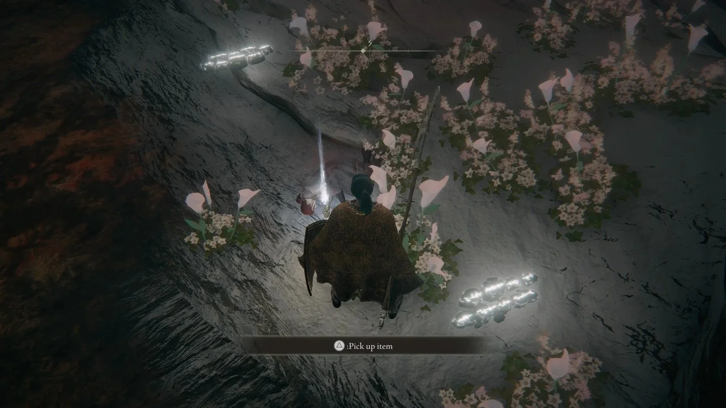 Источник: IGN / Elden Ring