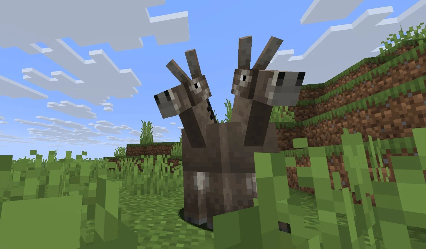 Minecraft 