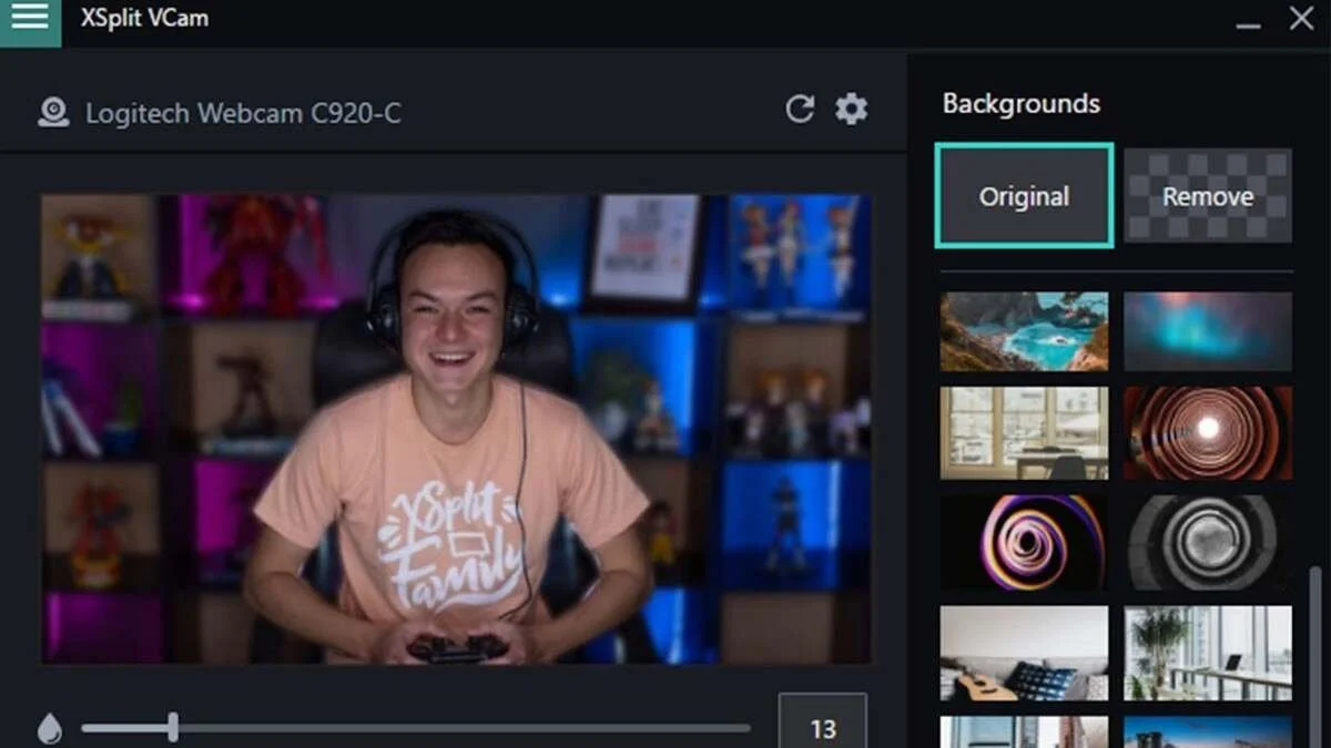 Источник: IGN / XSplit VCam