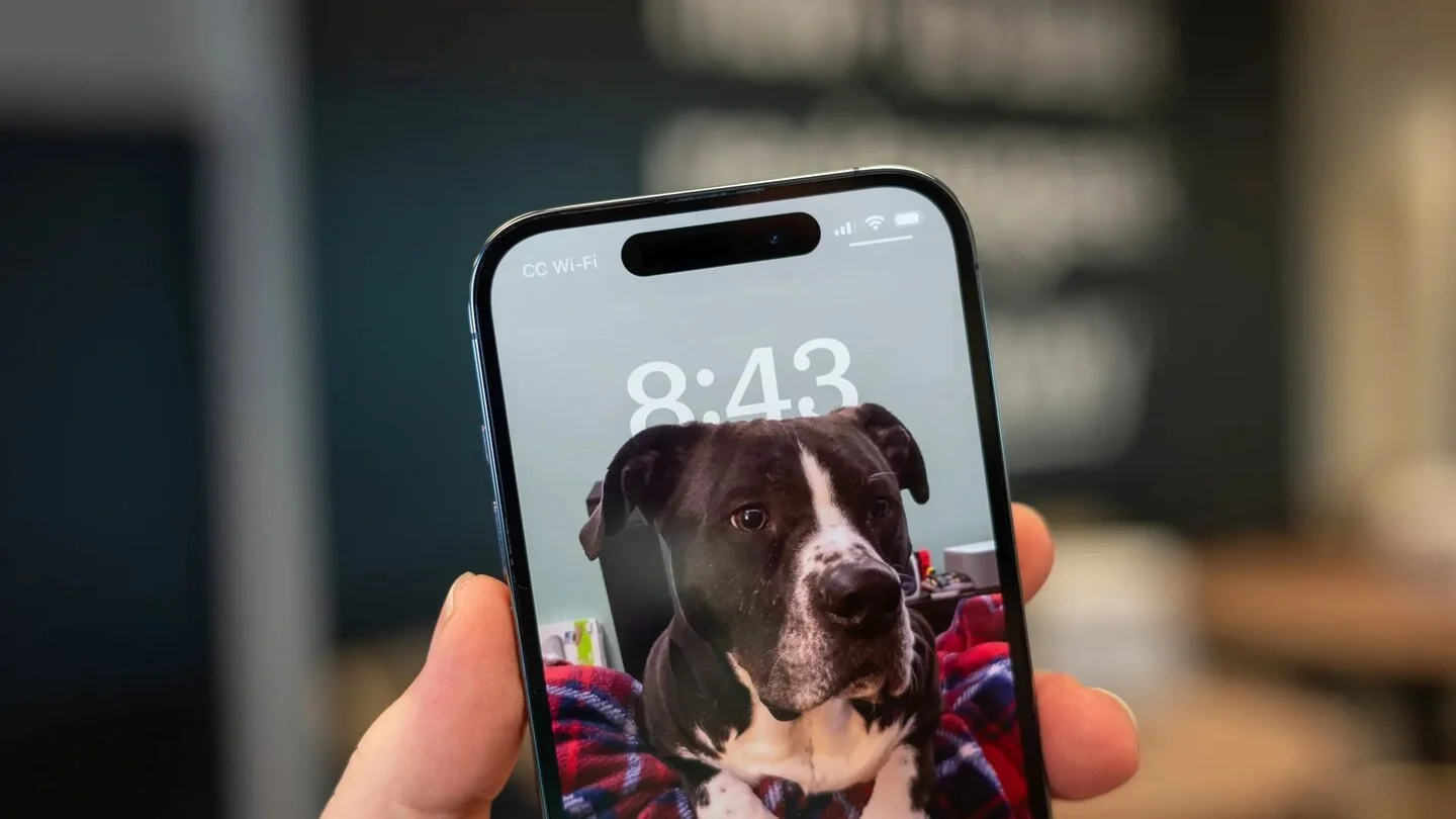 В iPhone 15 можно завести питомца — iOS 17 получила аналог «тамагочи»