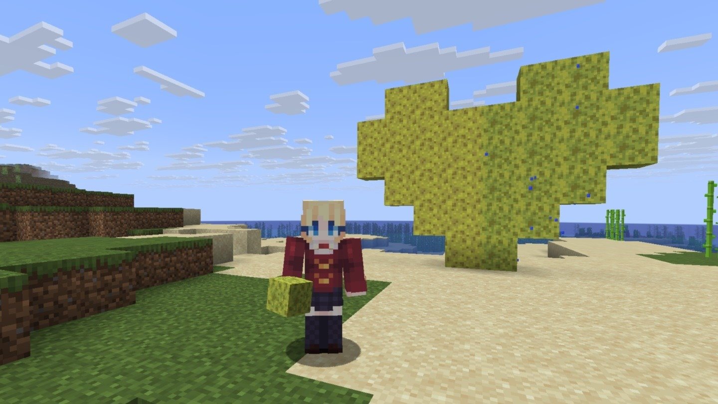Губка в Minecraft: где найти, как добыть и применять