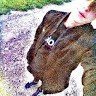 #Andrei Moter
