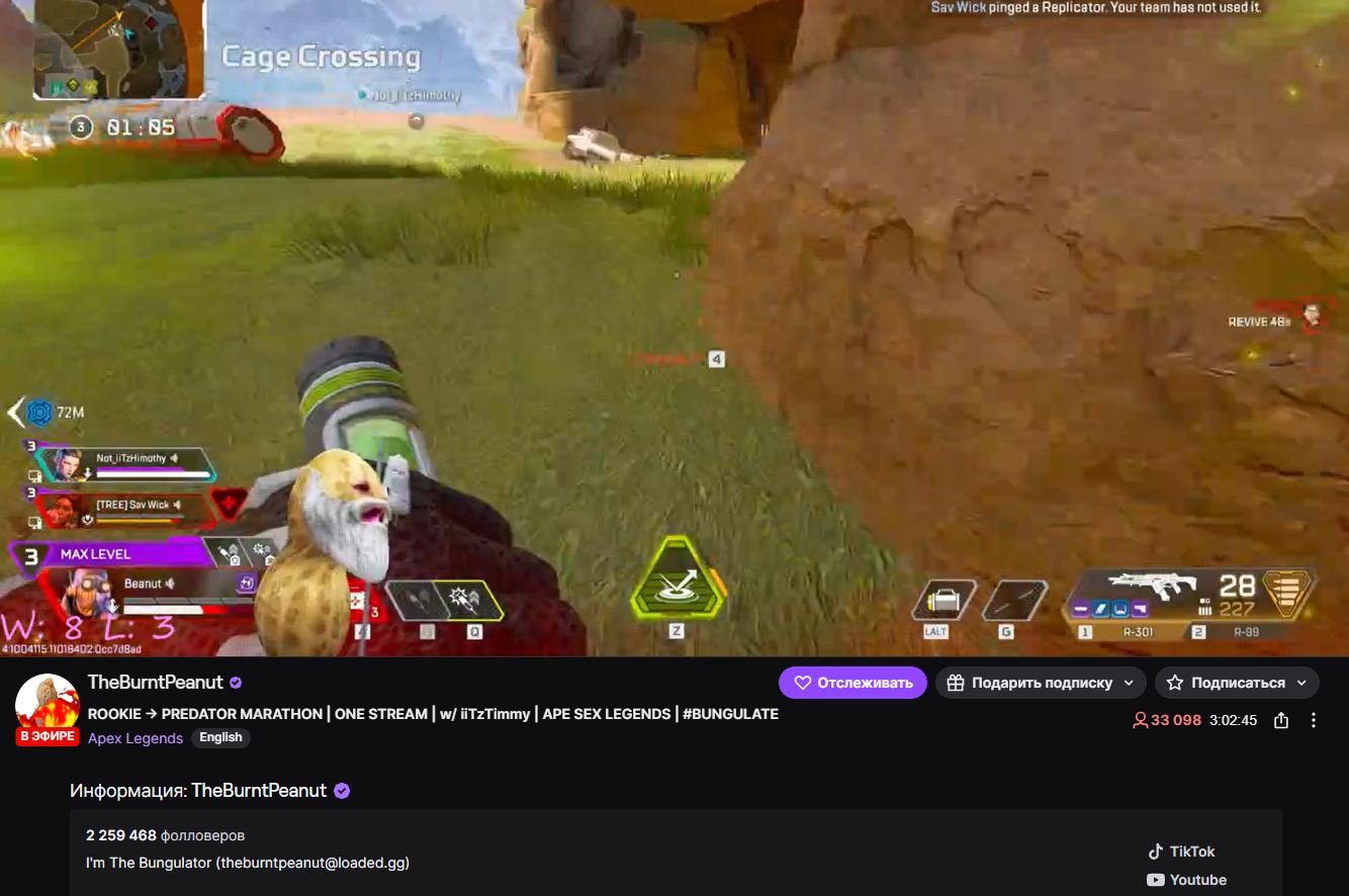 Источник: скриншот respawn.media /  Twitch-канал TheBurntPeanut