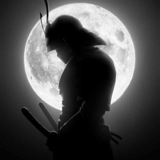 Ninja