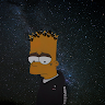 Geimer Pro2005