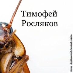 Timofey Roslyakov