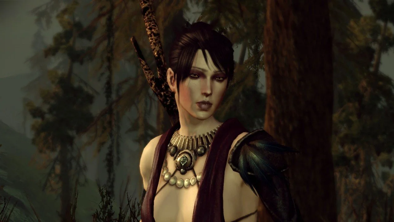 Dragon Age Origins