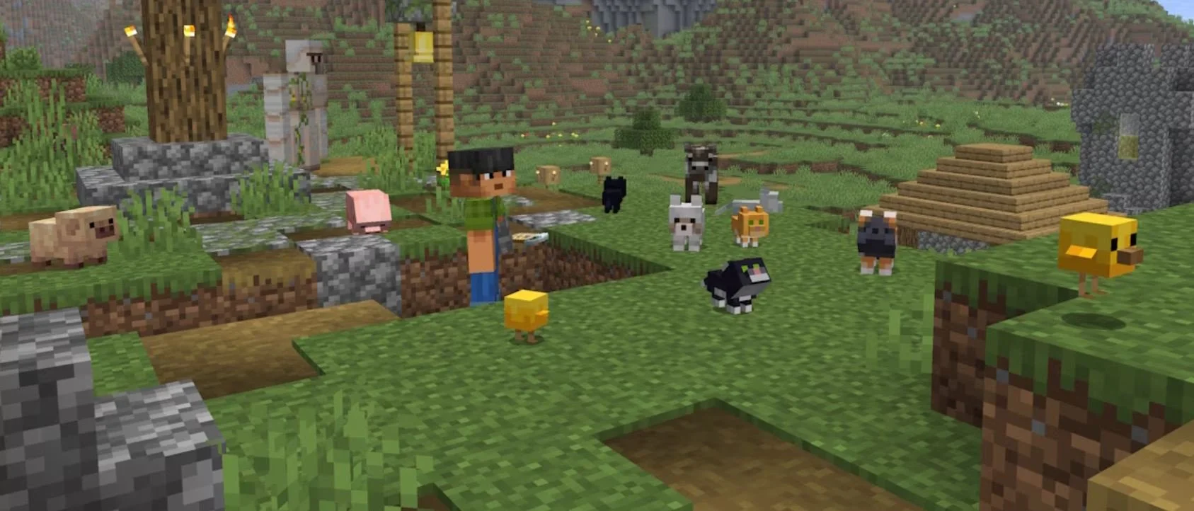 Minecraft
