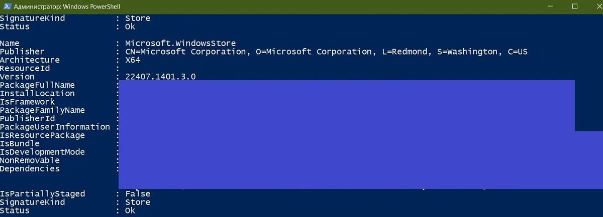 Источник: Скриншот respawn.media / Раздел Microsoft.WindowsStore в PowerShell
