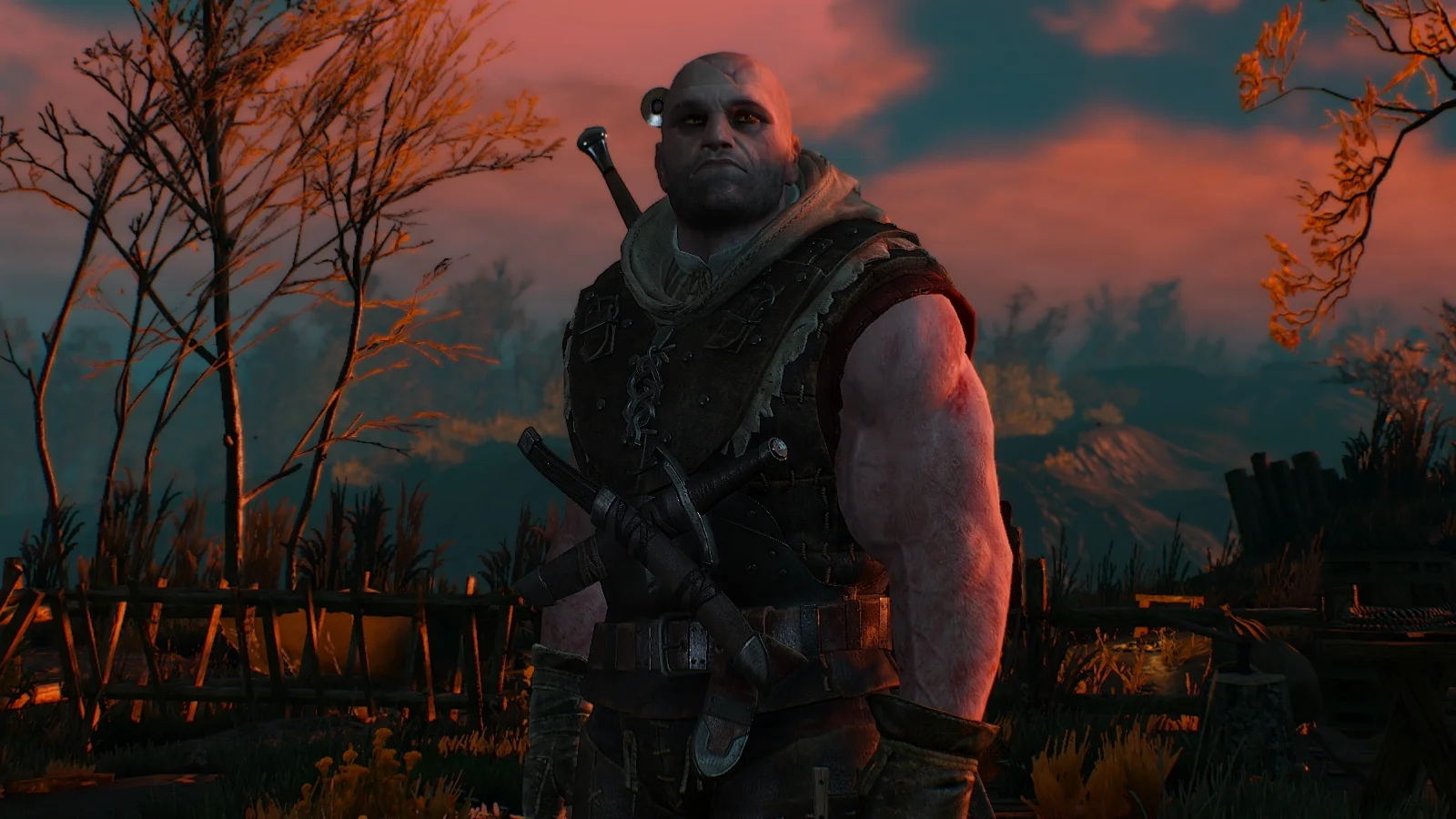 Серия игр The Witcher