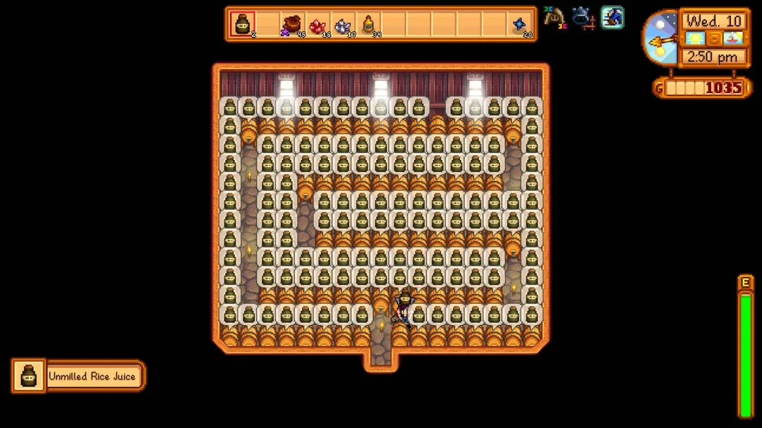 Stardew Valley