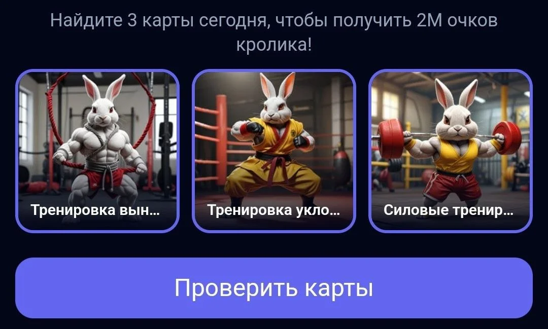 Комбо-карты Rocky Rabbit на 30-31 августа