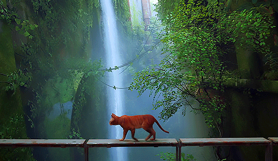 Stray 