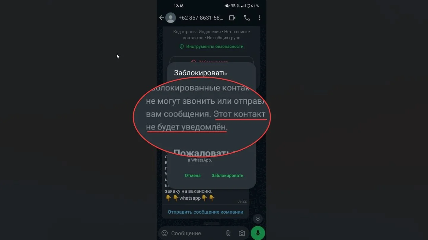 Источник: Respawn / WhatsApp