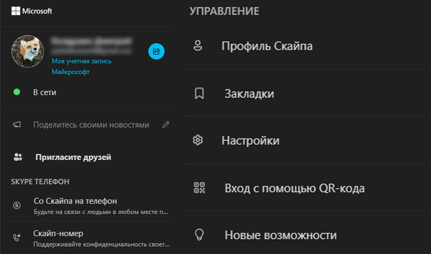 Источник: Skype / Возможности в Skype