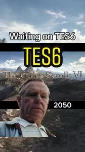 Мем по TES VI