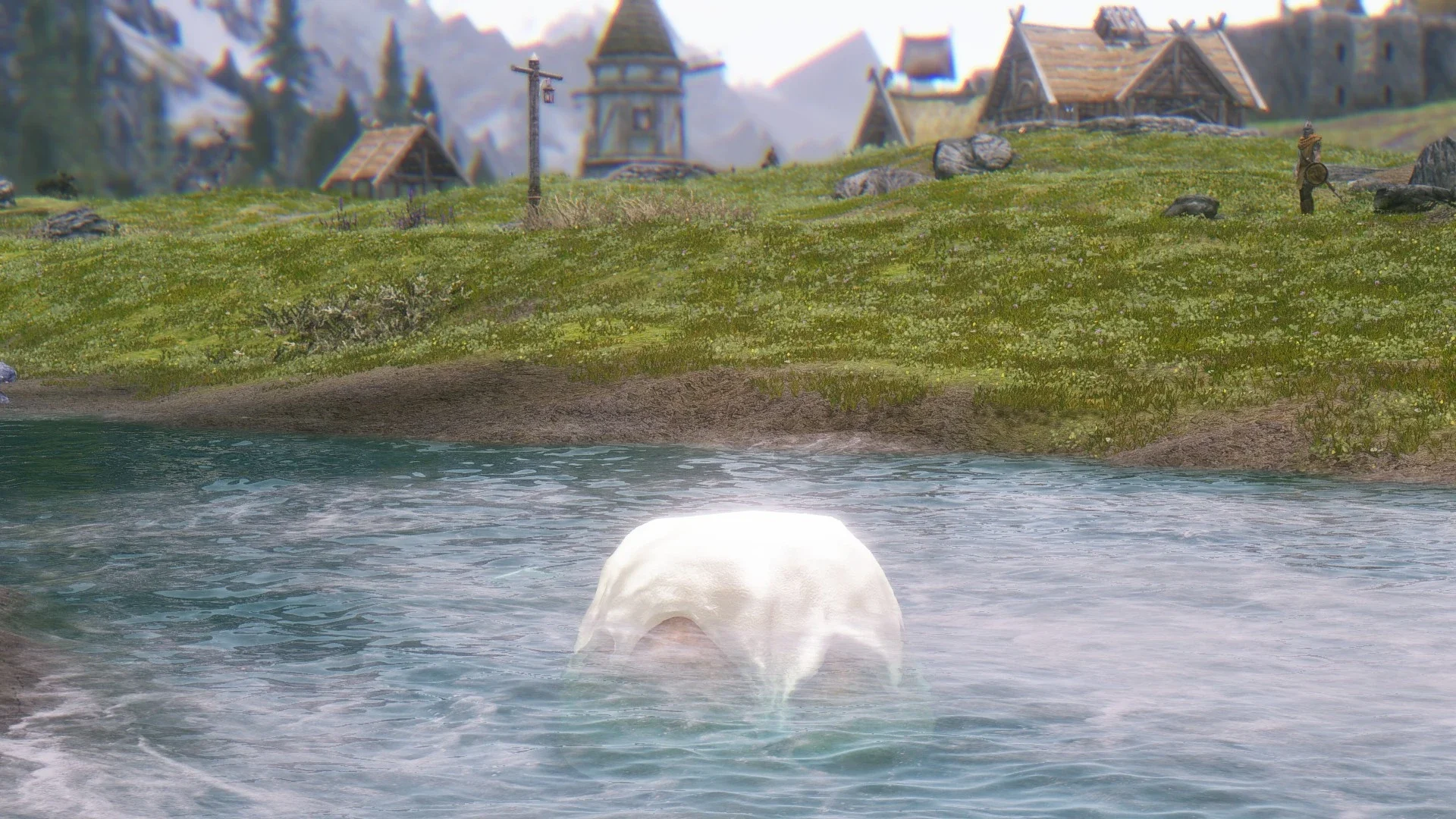 Skyrim