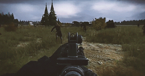 DayZ