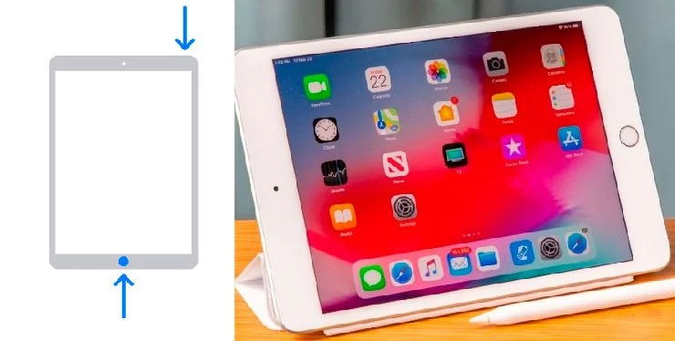 Источник: respawn.media, кадр с support.apple.com / Модель гаджета с кнопкой