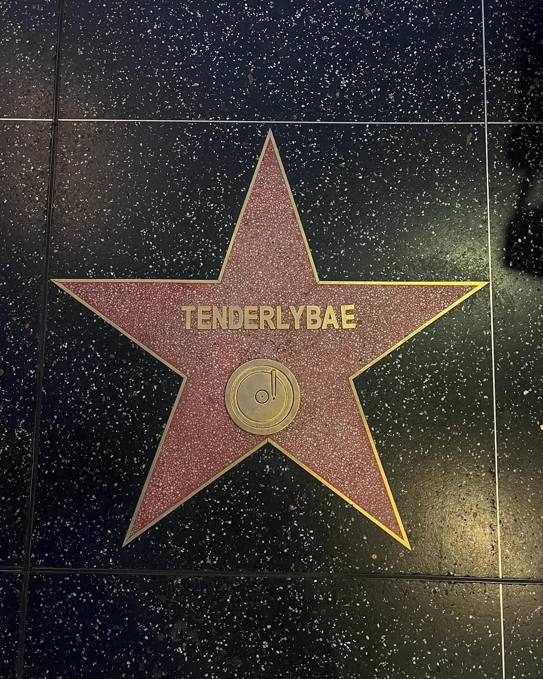 Источник: Соцсети Амины Tenderlybae / Фото Амины с Аллеи Славы
