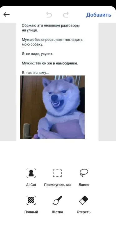 Миниатюра 9