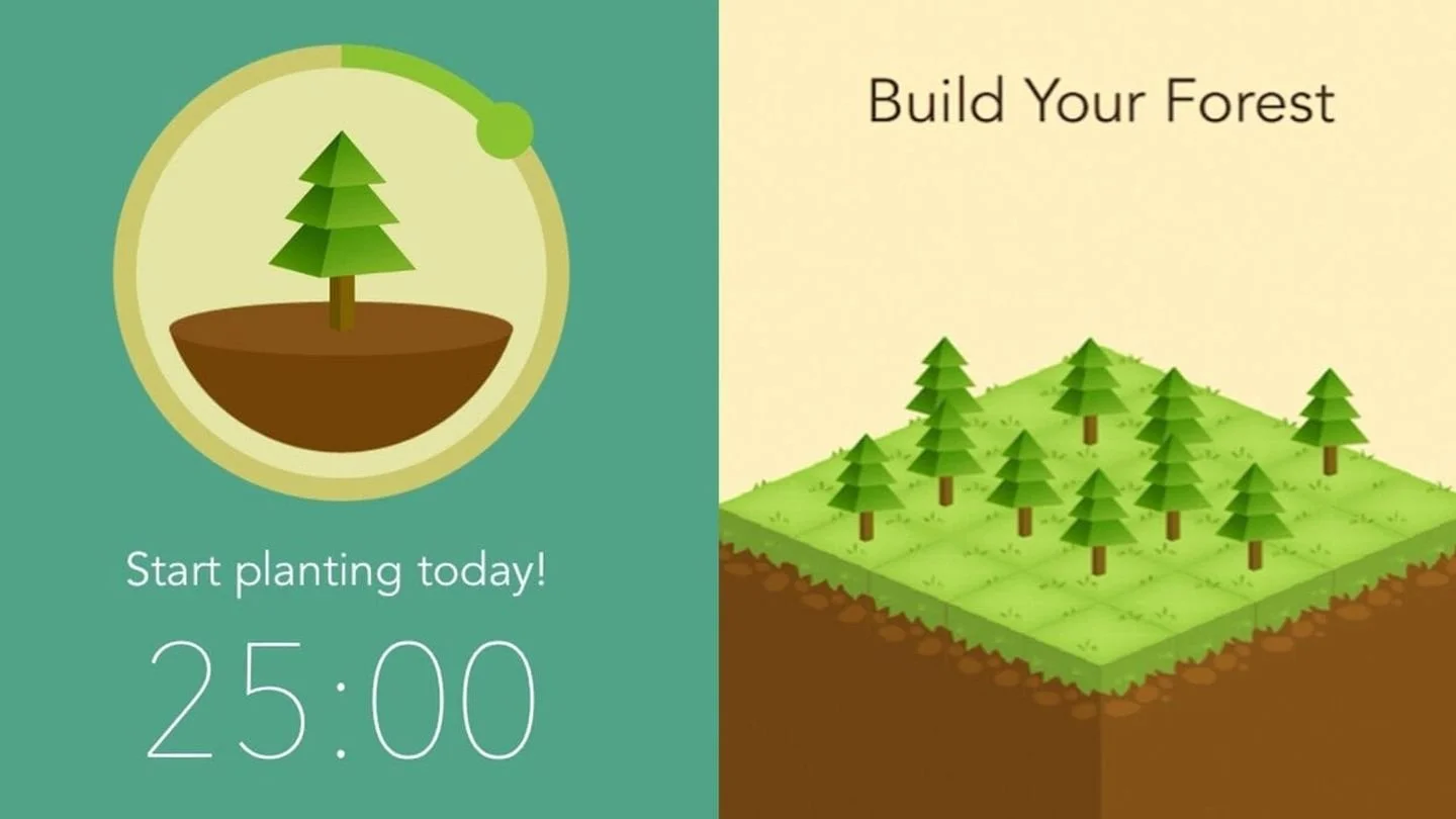 Источник: Mashable / Forest