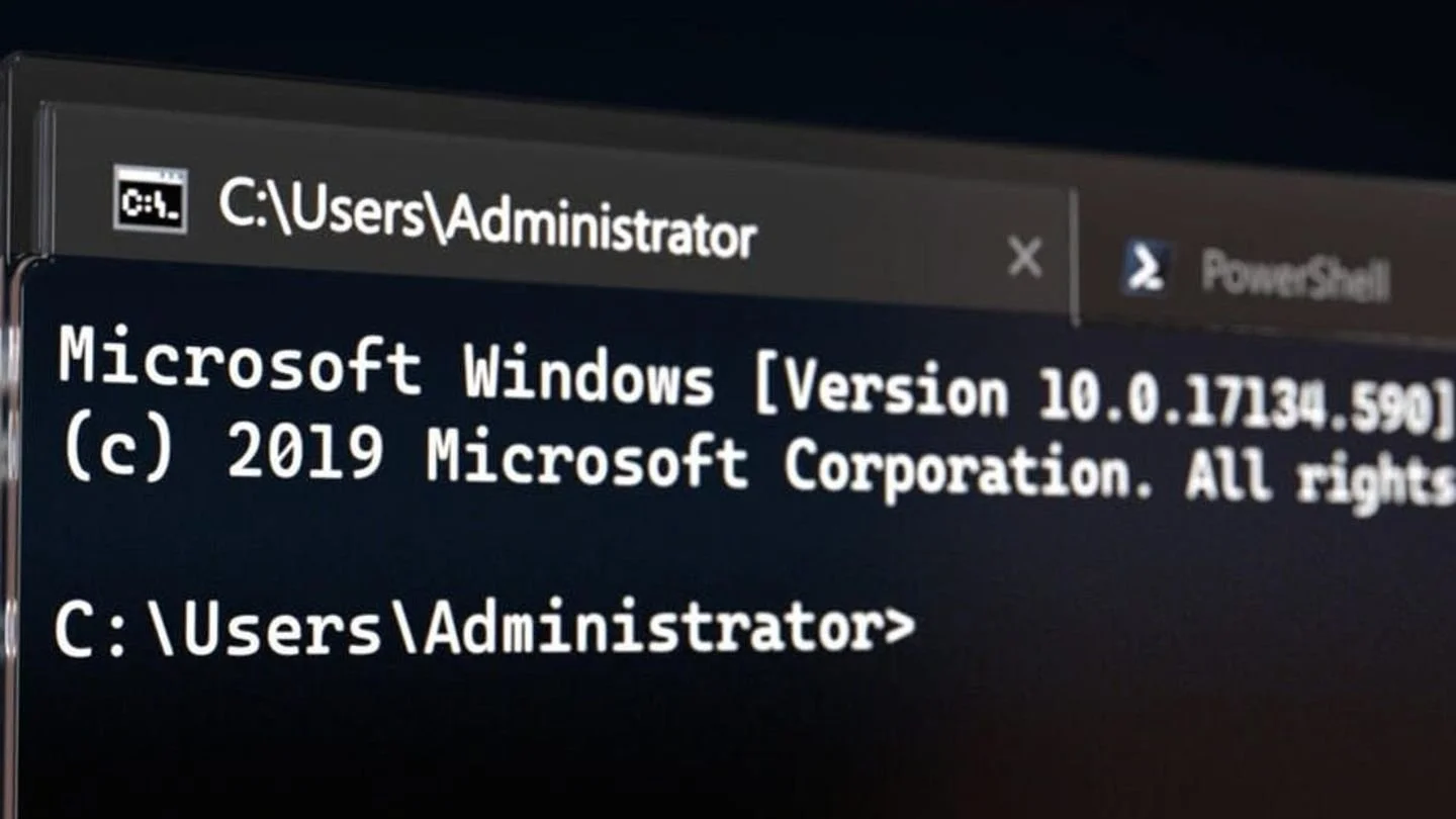 Источник: ZDnet / Изображение Terminal в Windows