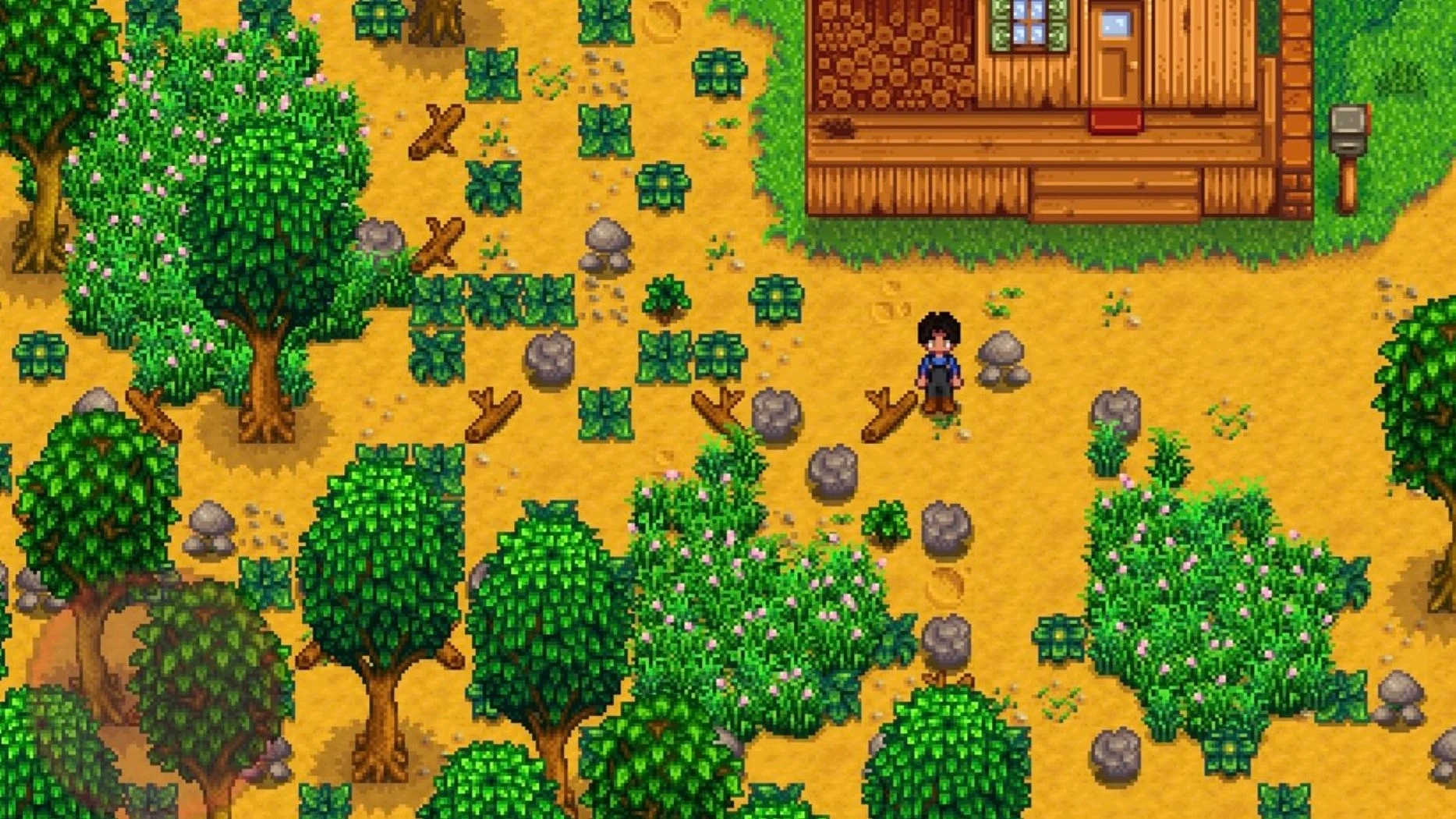Вслед за Terraria: в Stardew Valley готовится крупный патч в честь 10-летия игры