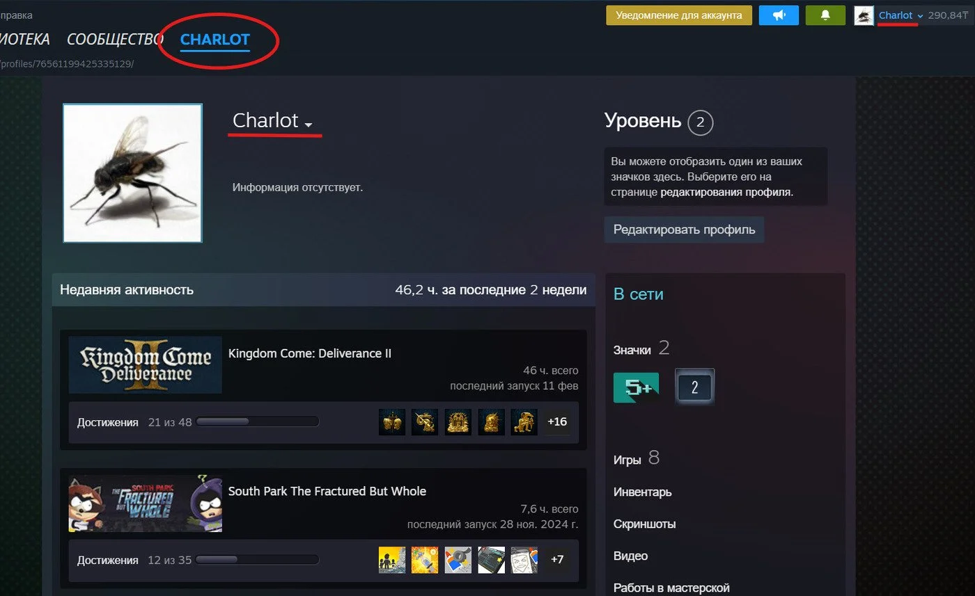 Источник: Скриншот respawn.media / Индивидуальный никнейм в Стиме