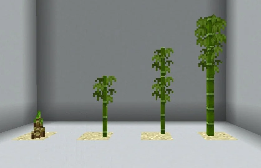 Источник: ru.minecraft.wiki / Стадии роста бамбука в Майнкрафт
