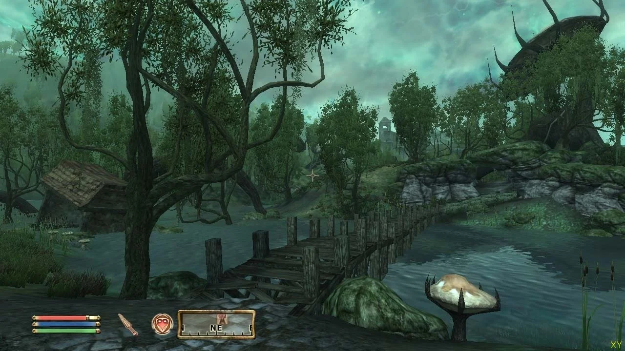 Источник: The Elder Scrolls 4: Oblivion